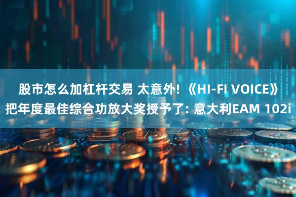 股市怎么加杠杆交易 太意外! 《HI-FI VOICE》把年度最佳综合功放大奖授予了: 意大利EAM 102i