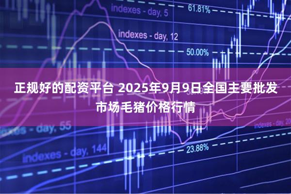 正规好的配资平台 2025年9月9日全国主要批发市场毛猪价格行情