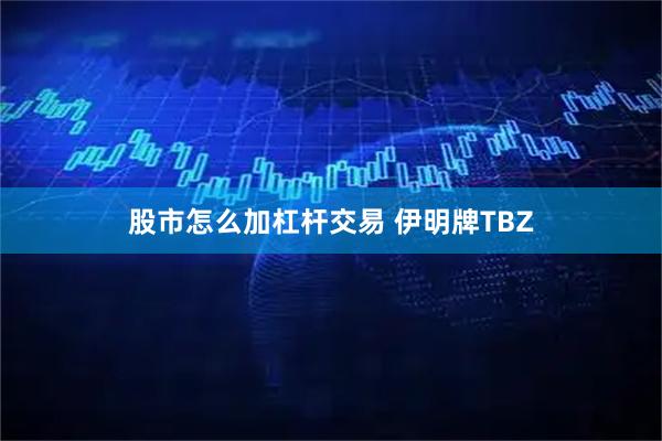 股市怎么加杠杆交易 伊明牌TBZ