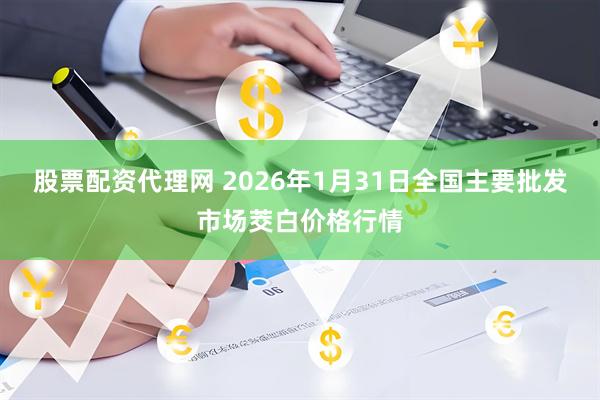股票配资代理网 2026年1月31日全国主要批发市场茭白价格行情