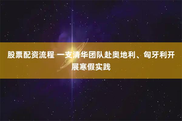 股票配资流程 一支清华团队赴奥地利、匈牙利开展寒假实践